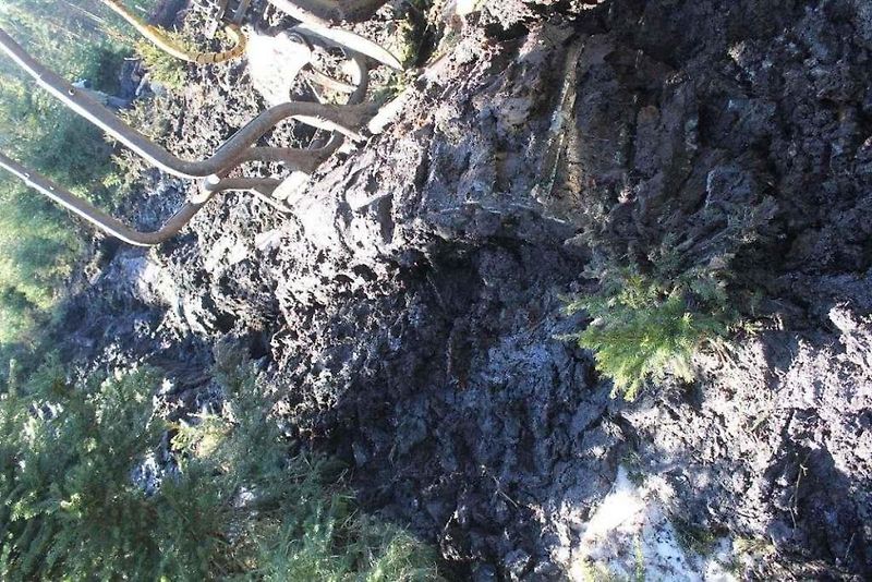 Dva dny tahali hasiči z rašeliny lesní stroje