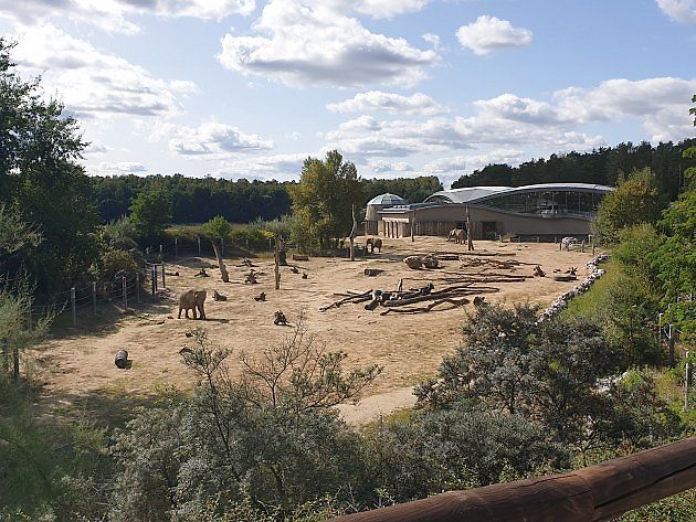 Výběh se slony v polské zoo v Poznani., zdroj: Wikimedia Commons, Mateusz Giełczyński, CC BY-SA 4.0