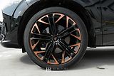 Cupra Terramar (2025) VZ 2.0 TSI 265 4DRIVE - náhled 29