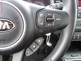Kia Carens (2017) 1.6i, ČR, servis.kniha, AC - náhled 15