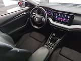 Škoda Octavia (2022) Combi 2.0 TDI (110kW/150k) - náhled 12