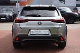 Lexus UX 300h UX300h F SPORT Design - náhled 6