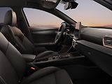 Cupra Formentor 2.0 TSI 150kW DSG 4WD - náhled 12