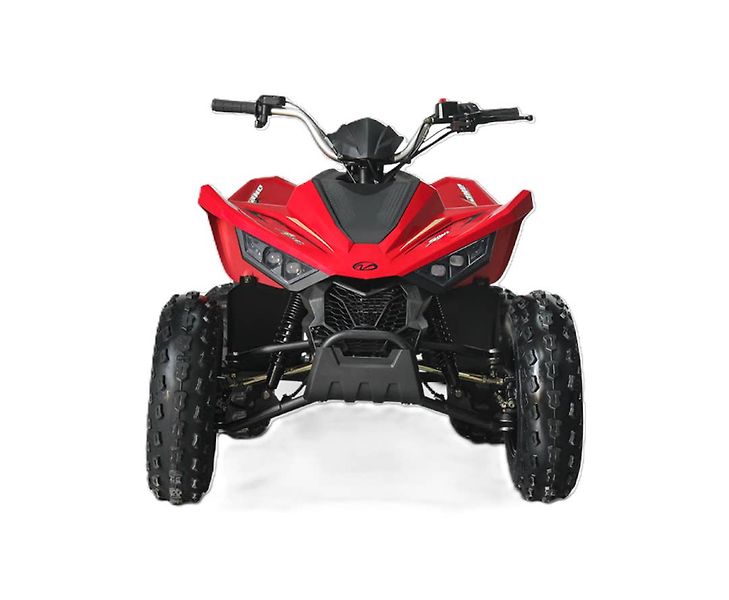 Linhai (2026) ATV 110 - fotka 8 z 8