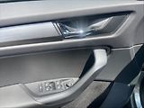 Škoda Kodiaq 2,0 TDI 110 Ambit.4x4 AT - náhled 11