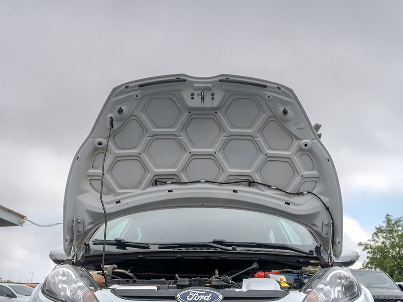 Ford Fiesta (2010) 1.25i 60KW – TAŽNÝ - fotka 38 z 40