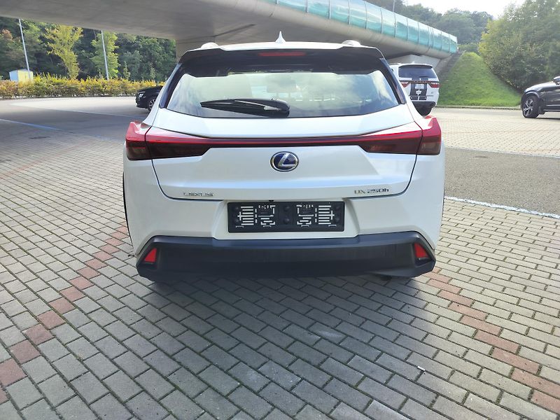 Lexus UX 250h black-white edition, kůže - fotka 6 z 25