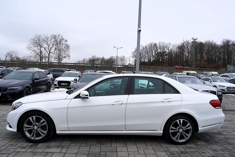 Mercedes-Benz Třídy E E 220d Avantgarde/kůže/AT/ČR - fotka 3 z 36