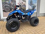 Linhai (2026) ATV 110 - náhled 1