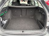 Škoda Octavia (2023) STYLE 2.0TDI 110kW CZ DPH - náhled 6
