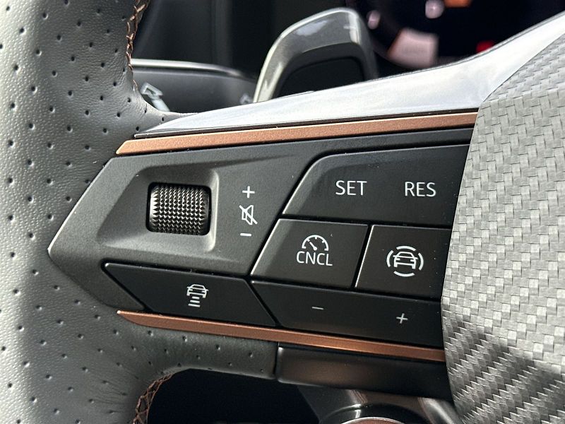Cupra Formentor (2026) VZ 2.0 TSI 333k DSG 4WD - fotka 18 z 33