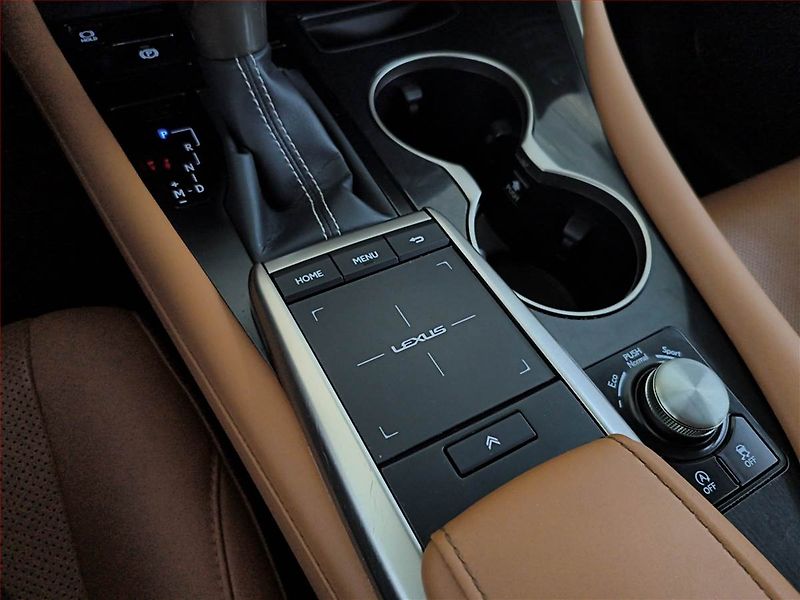 Lexus RX 400h (2022) 300 AWD - fotka 16 z 23