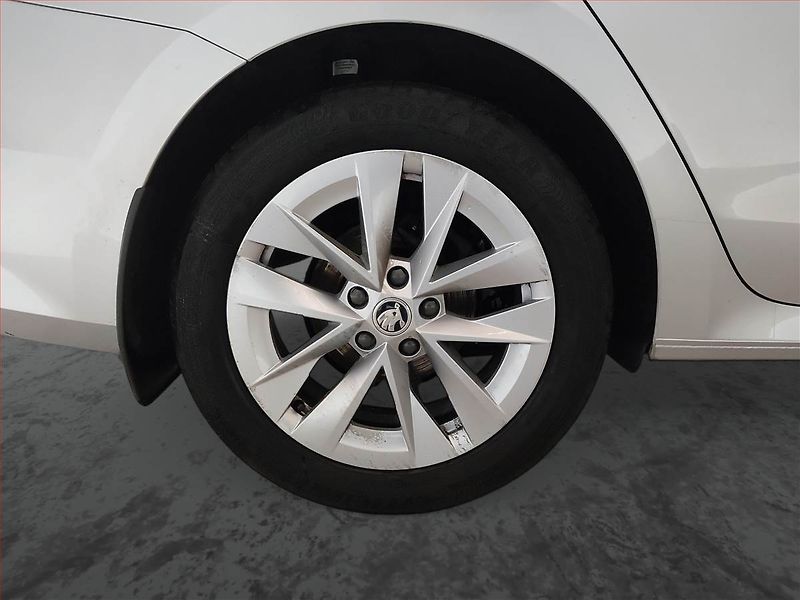 Škoda Octavia (2023) Style 2.0 TDI, Tempomat - fotka 14 z 16
