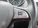Škoda Octavia (2015) 1.6TDi, ČR, Style, TZ, navi - náhled 18