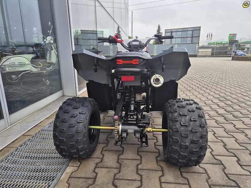 Linhai ATV 100 LH (2026) ATV 110 - fotka 6 z 74
