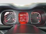Fiat Panda (2024) 1.0 FireFly, Serv.kniha - náhled 11