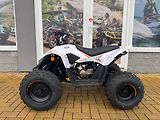 Linhai (2026) ATV 110 - náhled 1