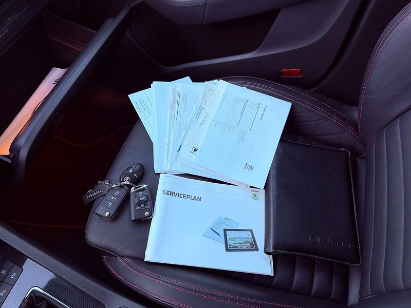 Škoda Octavia 2.0 TDi RS DSG, Pano, Memory - fotka 32 z 34