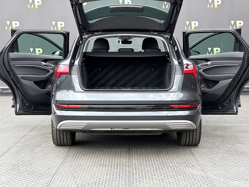 Audi e-tron (2020) Quattro 230kW Advanced, PANO - fotka 10 z 54