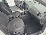 Seat Leon 1,4 TSi 92KW FR NAVI TEMPOMAT - náhled 33