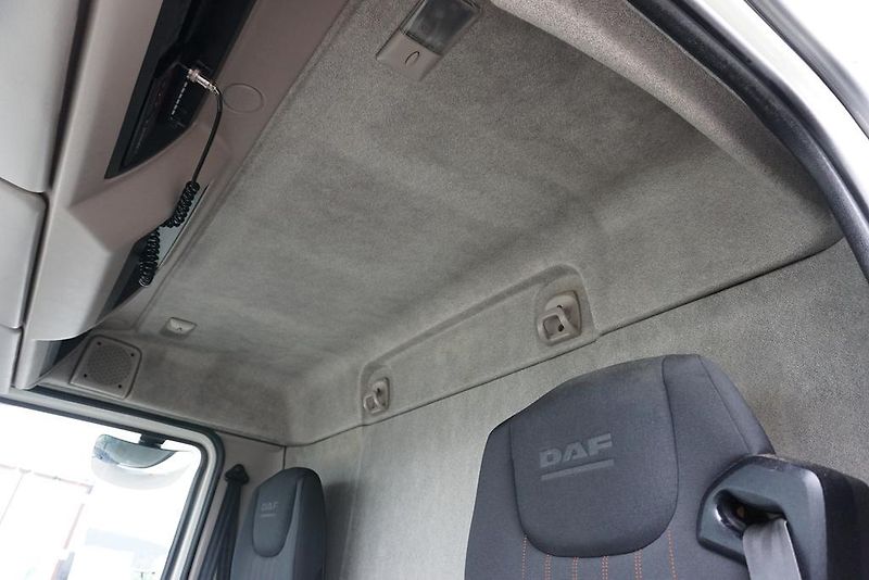 DAF LF (2019) 290 / E 6 / FIRANKA + WINDA /  - fotka 40 z 44