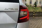 Škoda Octavia 2.0 TDI DSG Kamera Style+ - náhled 10