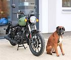 Royal Enfield Meteor 350 (2026) 350 Meteor GREEN - náhled 9