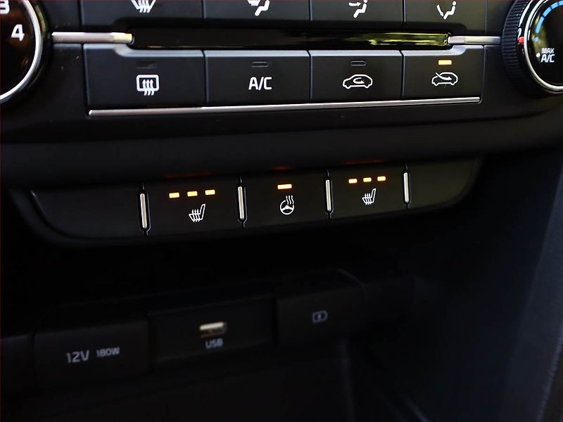 Kia Ceed (2022) 1.5 T-GDI, ČR,1.maj - fotka 15 z 16