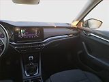 Škoda Octavia (2022) 2.0 TDI - náhled 7