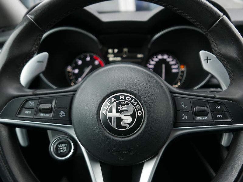 Alfa Romeo Stelvio 2,2 JTD Q4 154kW Automat - fotka 30 z 39
