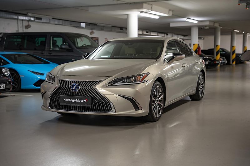 Lexus ES 300h (2020) Luxury, LED, 360, DPH - fotka 2 z 27