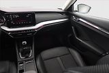 Škoda Octavia (2023) 2.0 TDI, ČR,1.maj, Kůže - náhled 8
