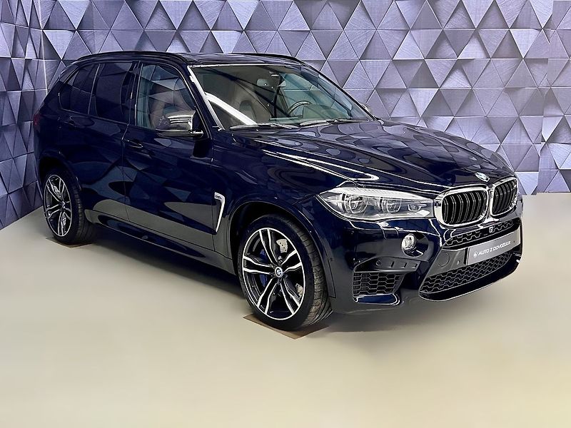 BMW X5 423KW INDIVIDUAL, PANORAMA - fotka 4 z 35