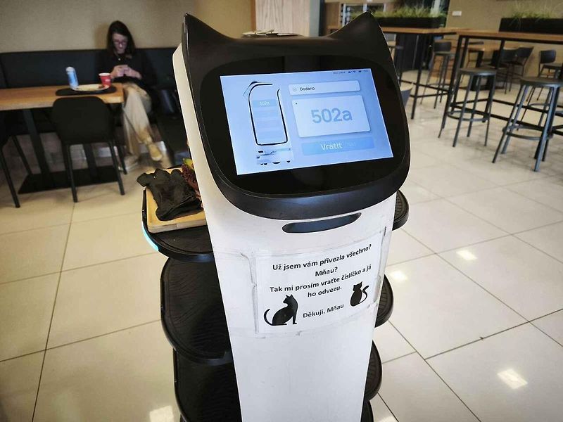 V Bistru Bonfood vládnou kočičí roboti.
