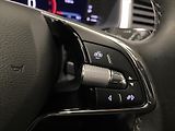 Škoda Kodiaq 2,0 - náhled 14