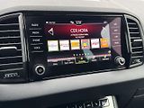 Škoda Karoq (2020) 2.0 TDI 4x4 DSG Sportline - náhled 20