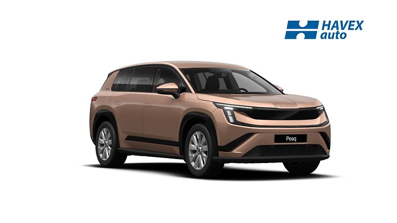 Škoda Peaq (2026) 90x, 91 kWh 220 kW 4x4 Selecti - fotografie inzerátu