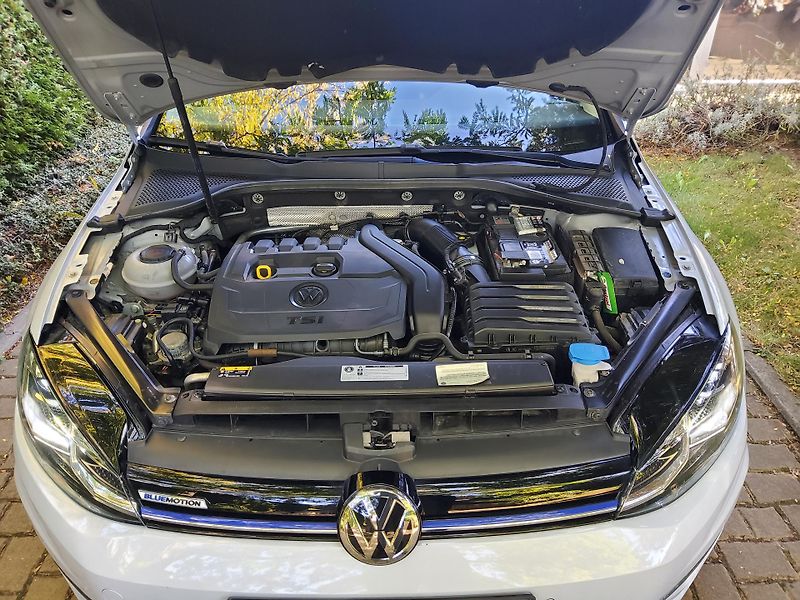 Volkswagen Golf (2018) 1.5TSI 96kW DSG 1maj ČR LED - fotka 24 z 27