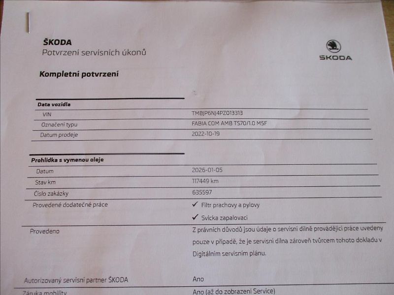 Škoda Fabia 1,0 TSI, klima,servis,DPH,CZ, - fotka 37 z 38