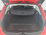 Ford Focus (2024) 1.0 MHEV - náhled 14