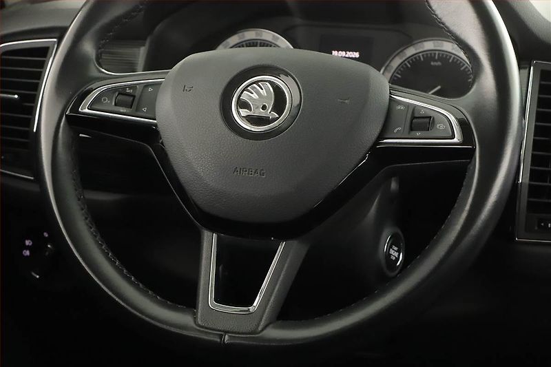 Škoda Kodiaq (2018) 2.0 TDI 4x4 - fotka 8 z 18