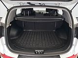 Kia Sportage (2012) 1.6 GDI, Tempomat - náhled 13