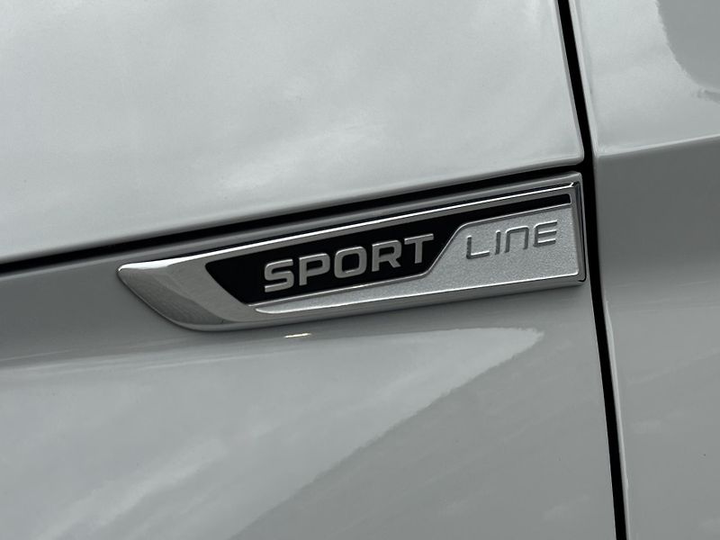 Škoda Kodiaq (2020) 2.0TSi 4X4 Sportline, Virtual  - fotka 45 z 50
