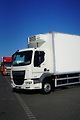DAF LF (2022) 260 / ACC / EURO 6 / CHŁODNIA  - náhled 20