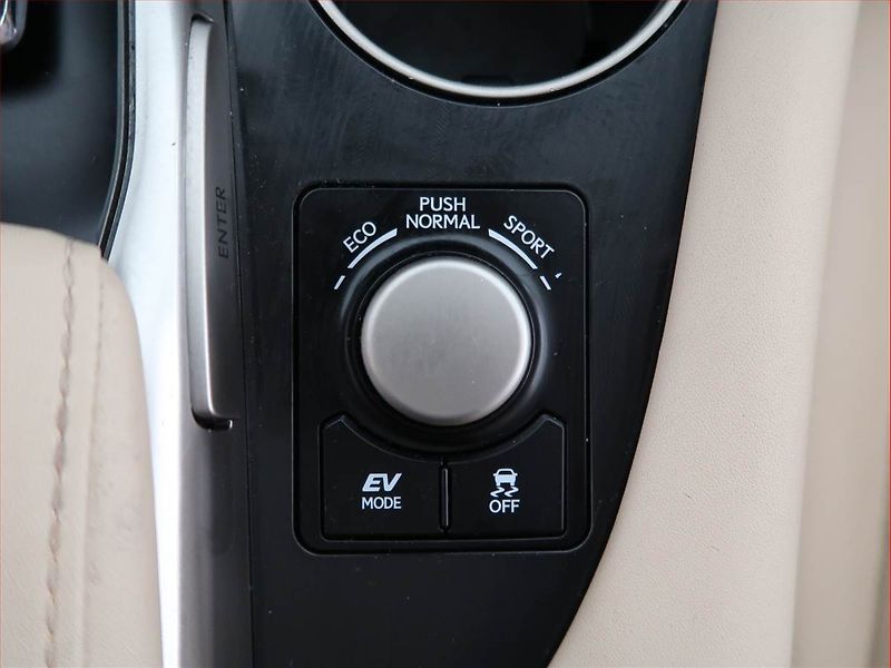 Lexus RX 400h (2017) 450 h - fotka 22 z 27
