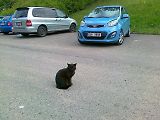 ZKUŠENOSTI UŽIVATELE: Kia Picanto TA 