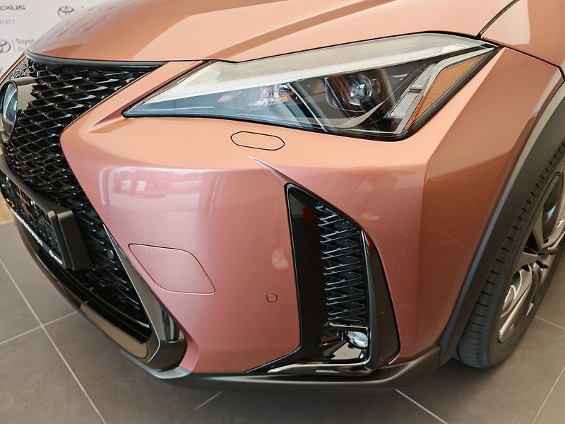 Lexus UX 300h F Sport Design 300H - fotka 5 z 44