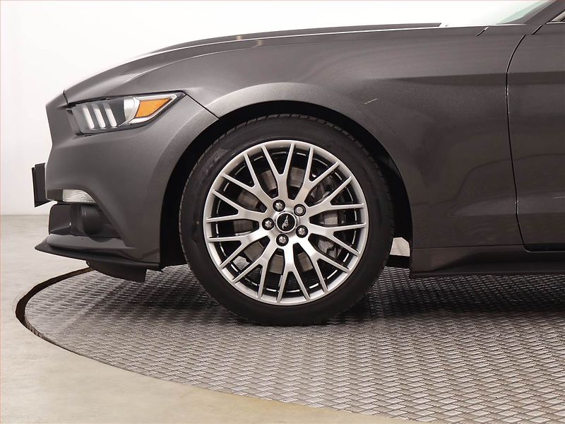 Ford Mustang (2017) 2.3 Ecoboost - fotka 15 z 15