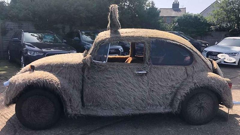 Volkswagen Beetle Furbie