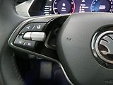 Škoda Octavia - náhled 16
